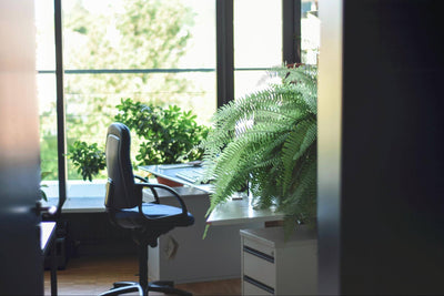 9 Simple Ways to Add Sustainability to Your Office Renovation Project