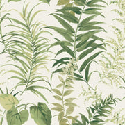 Fern Forest Peel and Stick Mural