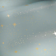 Upon A Star Peel and Stick Wallpaper