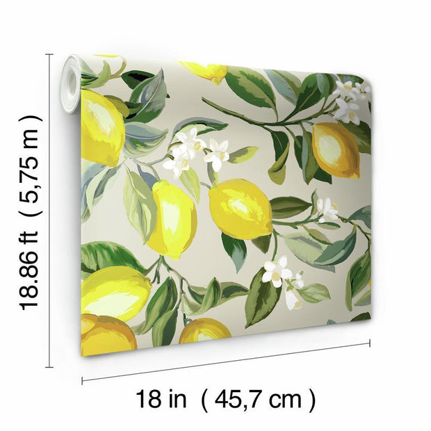 Lemon Zest Peel and Stick Wallpaper